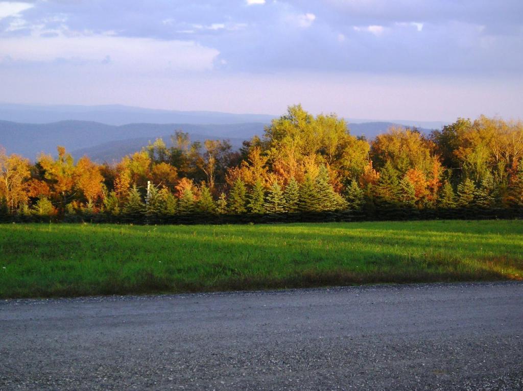 Cooper Hill Inn East Dover Εξωτερικό φωτογραφία