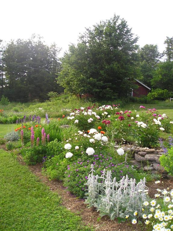 Cooper Hill Inn East Dover Εξωτερικό φωτογραφία