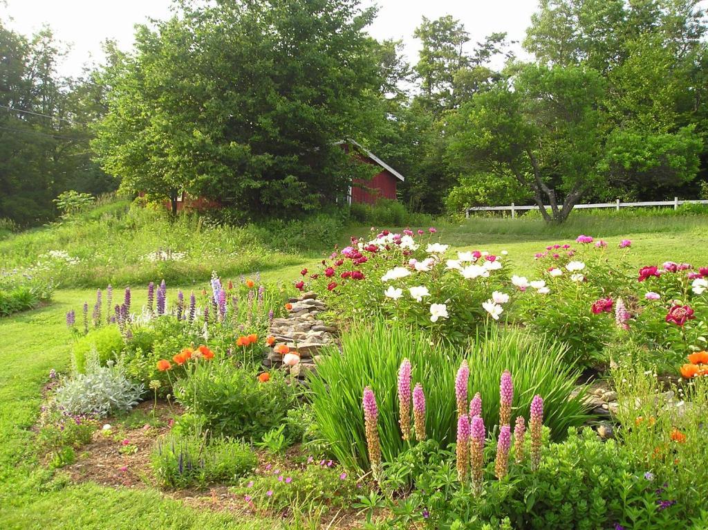 Cooper Hill Inn East Dover Εξωτερικό φωτογραφία